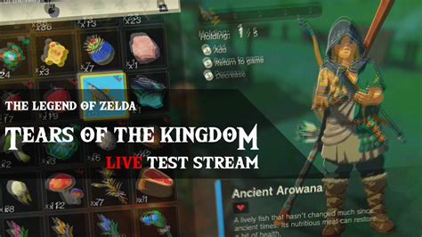 zelda tears of the kingdom test of strength|Zelda ring intensity.